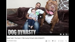 Pitbulls Should Be Banned By Law amp Exterminated By Law Enforcement [upl. by Doty]