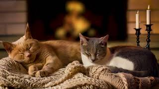 Crackling Fire and Cat Purring Sounds🔥Soothing Cat Sleep Video 4K Sleeping Cats by Fireplace Noises [upl. by Mogerly]