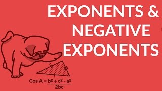 ʕ•ᴥ•ʔ How to Solve Exponents and Negative Exponents  StudyPug [upl. by Ahsennod778]