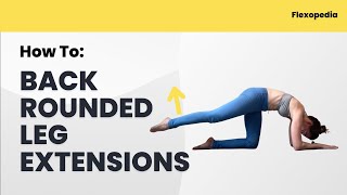 How To Rounded Back Leg Extensions Flexopedia Entry 51 [upl. by Armilla]