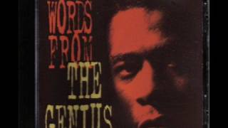 the genius  gza amp rza  pass the bone [upl. by Ellwood]