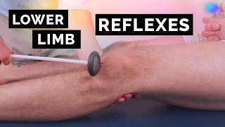 Reflexes of the Lower Limbs  OSCE Clip  UKMLA  CPSA [upl. by Anirt]