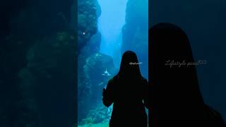 Yas Island abudhabi seaworld aquarium ytshorts [upl. by Catherine]