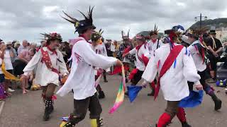 Sidmouth Folk Festival Eynsham Morris Esplanade 4824 [upl. by Zales]