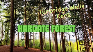 Hargate Forest  Tunbridge Wells Kent [upl. by Shadow530]