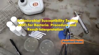 Antibiotic sensitivity testingAST of Bacteria step by step Demonstration [upl. by Haididej404]