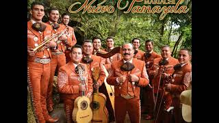 Mariachi Nuevo Tamazula10Cd Completo [upl. by Yelhsa]