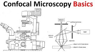 Confocal microscopy Basics [upl. by Rurik818]