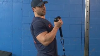 How To Do Standing Rope Curls To Build Your Biceps [upl. by Shere]