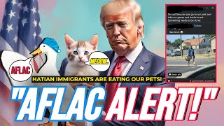 BREAKING Are Hatian Immigrants EATING CATS and DUCKS In Springfiled Ohio [upl. by Lonne]