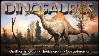 Les cousins géants des Oiseaux DINOSAURES 1011 [upl. by Danyelle777]