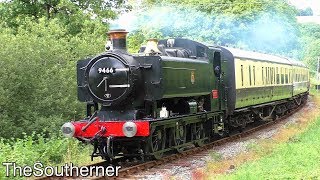 South Devon Railway 07082019 [upl. by Geno685]