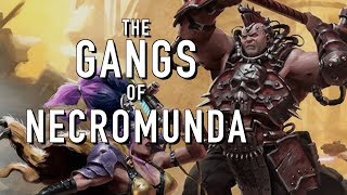 40 Facts and Lore on the Gangs of Necromunda Warhammer 40K 2 [upl. by Nel]