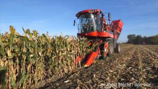 Récolte de Maïs semence avec un Corn Picker Bourgoin B410 [upl. by Ioved]