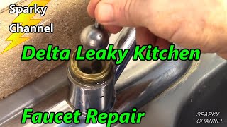 Delta Kitchen Faucet Leak Repair Single Handle [upl. by Chrystal438]