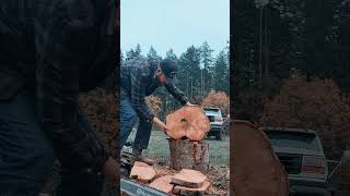 Ported Stihl 462C vs Husqvarna 572xp [upl. by Ulland940]