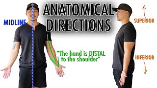 Directional Terms Anatomical Terminology [upl. by Gold]