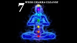 Rashad jamal  7 week chakra cleanse The root chakra🔴 [upl. by Enaled487]