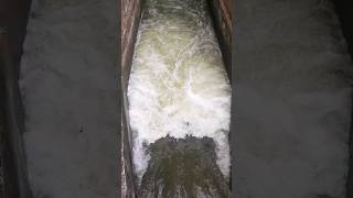 spillway😯💧💧🤩 amp spill over water [upl. by Howlyn]