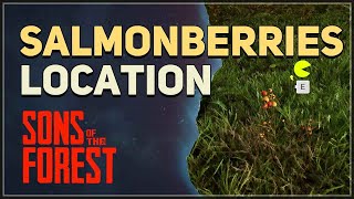 Salmonberries Location Sons Of The Forest [upl. by Yole]