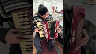 Arlando accordion 34 accordion 80 Bass 34 keys 2 voices 22 registers Germany accordion SALE [upl. by Brnaby]