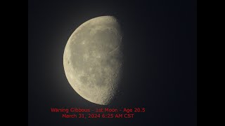 Waning Gibbous Moon  Age 205  March 31 2024 625 AM CST 1st Moon [upl. by Nagorb518]