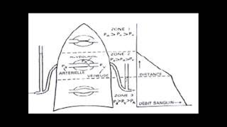 ENRG physiologie respiratoire rapport ventilation perfusion [upl. by Raynold777]