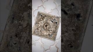 Crazy Shower Drain Clog Watch This Satisfying CleanUp [upl. by Eulau]