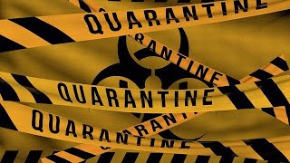 How to Find and Release messages from the Quarantine spam filter in Office 365 [upl. by Alessig]