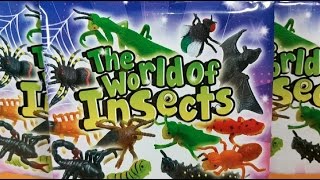 The World Of Insect Insectos del mundo [upl. by Auqinahs675]