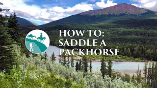 How to saddle a packhorse The saddle amp the horse [upl. by Selig]