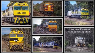 Trains At Menangle Park Part 1 [upl. by Wendie]