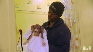 Meet Will the Puppy Man  Pit Bulls and Parolees [upl. by Ardnuahc]