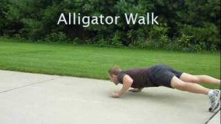 Alligator Walkmpg [upl. by Ednyl685]