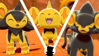 【PokemonCamp】Shinx・Luxio・Luxray vs Shiny Evolution Cute [upl. by Zitvaa]