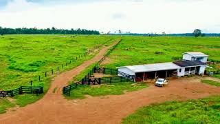 Fazenda à venda no Estado de Rondônia [upl. by Teillo]