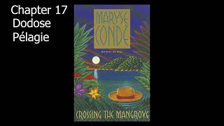 Crossing The Mangrove Audiobook  Chapter 17 Dodose Pélagie [upl. by Gati]