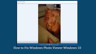 How to Fix Windows Photo Viewer Windows 10 [upl. by Llenroc]