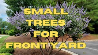 10 BEST All Season Small Trees For Front Yard  Low Maintenance Dwarf Trees for Landscaping [upl. by Aynos991]