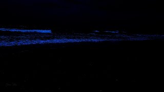 Leave the Symptoms of Insomnia Behind with Best Ocean Sounds and Big Waves at Night [upl. by Lidstone]