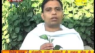 Ayurvedic Medicine Naagdon नागदोन Part 2 Acharya Balkrishna [upl. by Thirza]