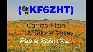 Carrizo Plain National Monument Antelope Valley [upl. by Guod]