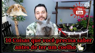 10 Coisas que você precisa saber antes de ter um COELHO coelho de estimação [upl. by Clarisa]