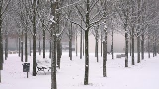 Erster Schnee Berlin zeigt sich winterlich  AFP [upl. by Ym]