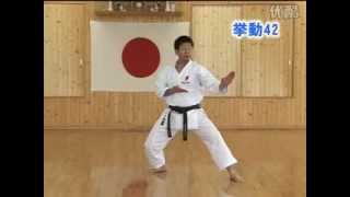 Bassai Dai JKA Shotokan Karate KarateZine [upl. by Cho616]