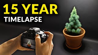 I Filmed Plants For 15 years  Timelapse Compilation [upl. by Merriam]