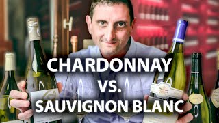 Chardonnay vs Sauvignon Blanc Whats the Difference [upl. by Erle]