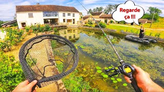 Le vieux jardin de cet abonné est très spécial et on pêche dedans [upl. by Frierson659]