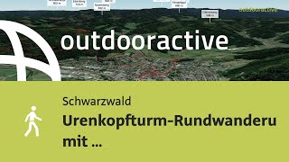 UrenkopfturmRundwanderung mit AltstadtRundgang durch Haslach im Kinzigtal [upl. by Riane]