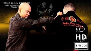 Wing Chun wing chun kung fu Basic Hand Work Episode 2 [upl. by Desai]